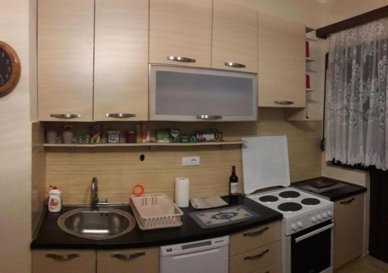 بودغوريتْسا Center Lux Apartment المظهر الخارجي الصورة
